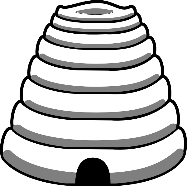Honeycomb bee nest