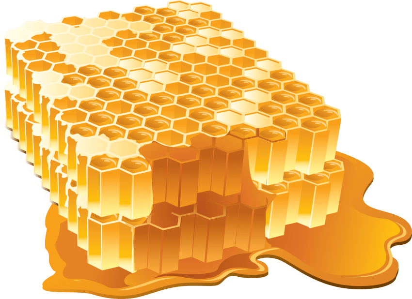 honey clipart honeycomb design