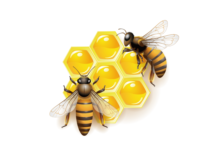 Honey clipart vector, Honey vector Transparent FREE for