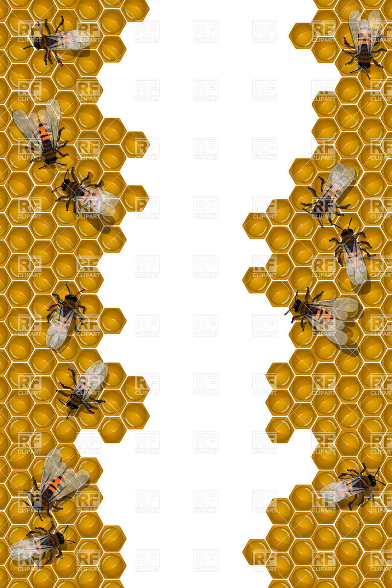 honeycomb clipart border