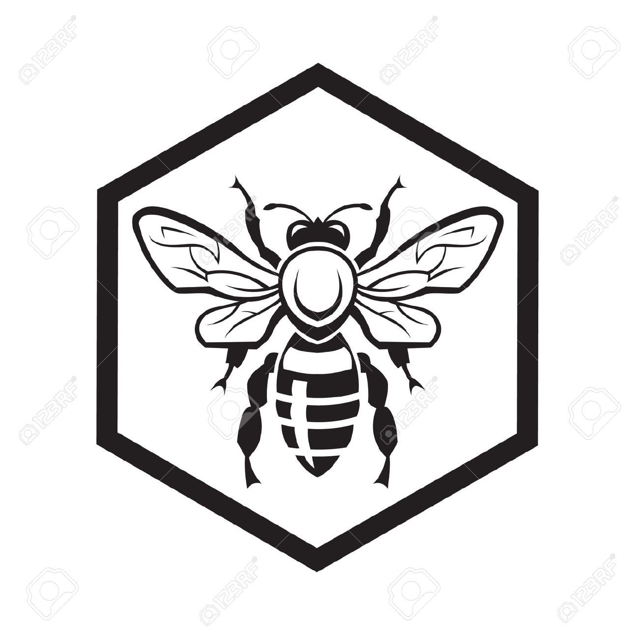 Bee drawing google search. Honeycomb clipart drawn