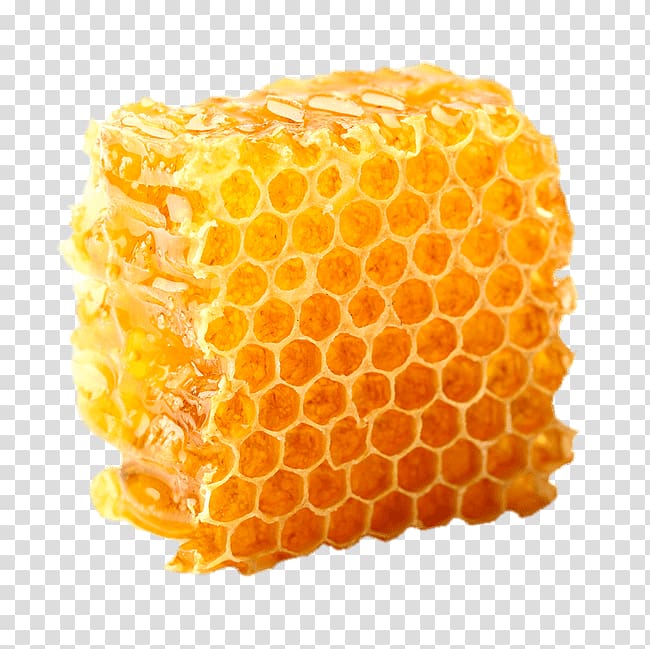 Honeycomb clipart orange. Transparent background png 
