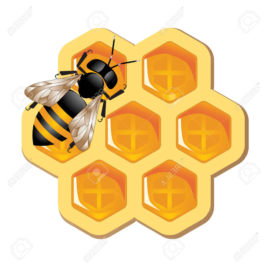 Honeycomb clipart orange. Download click art bee