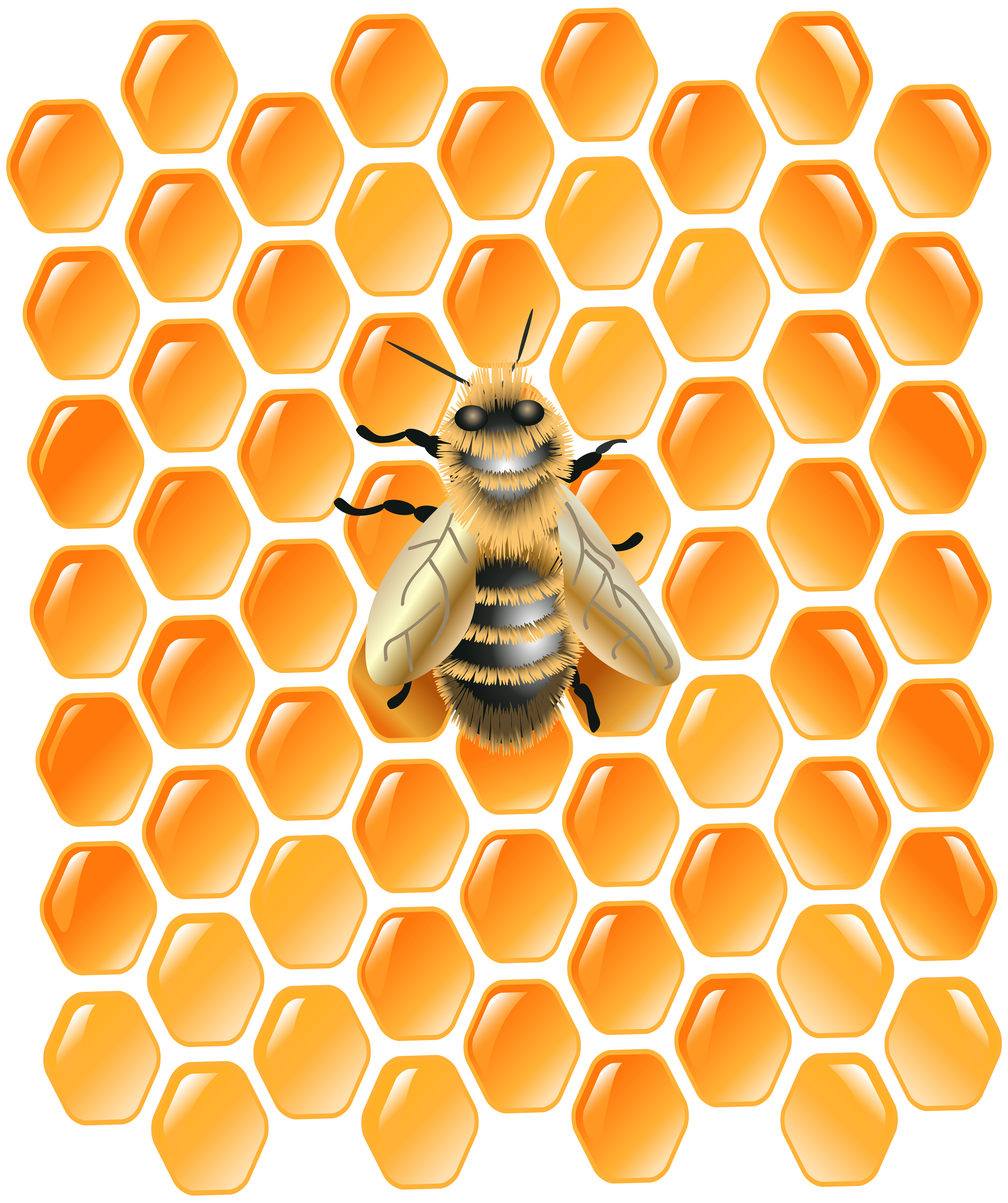honeycomb clipart stick