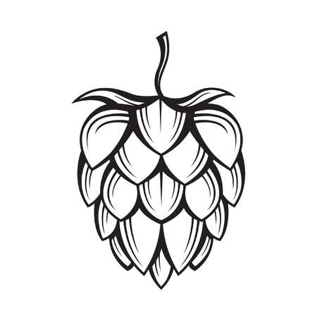 hops clipart black and white