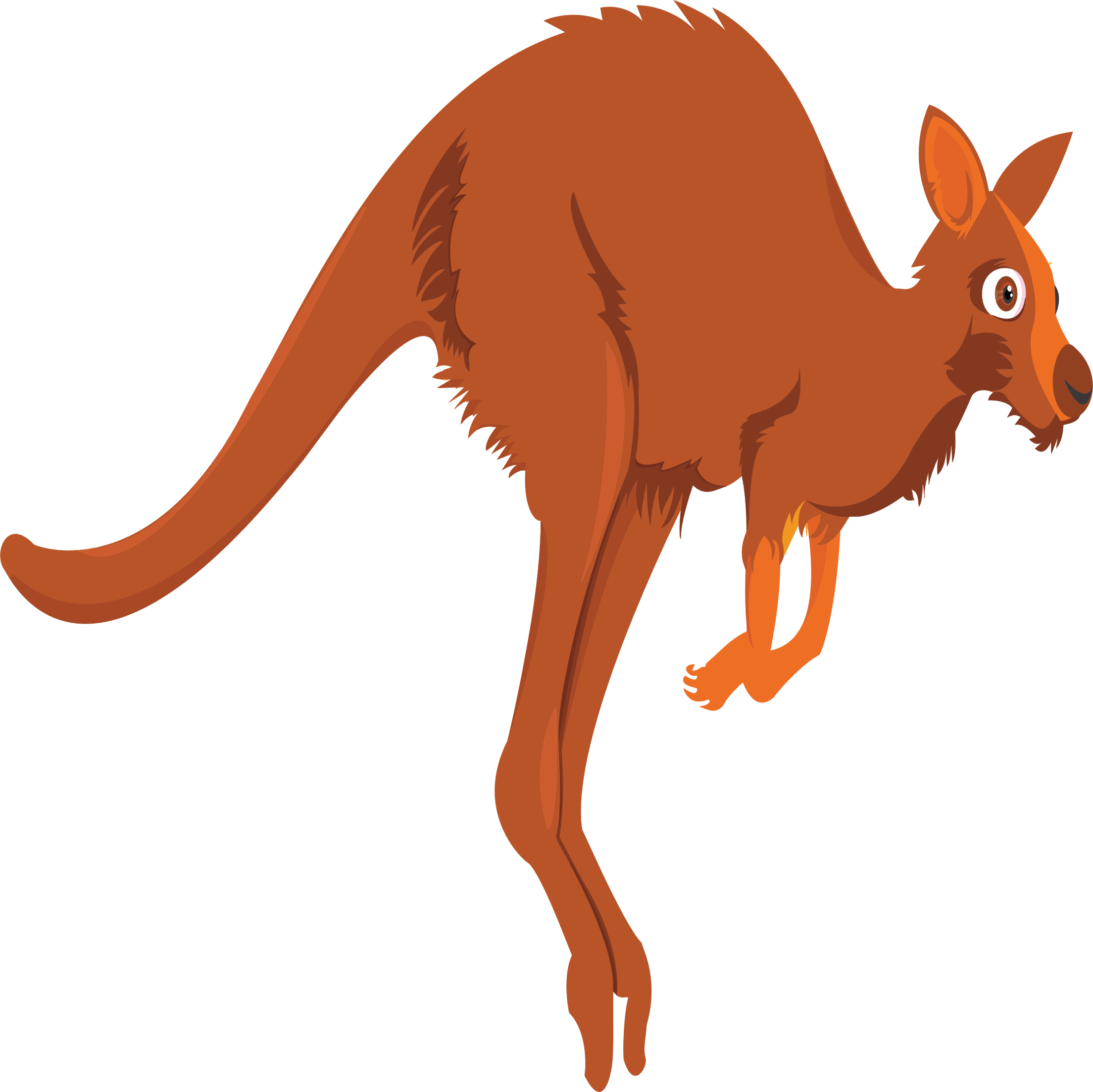 kangaroo clipart cartoon