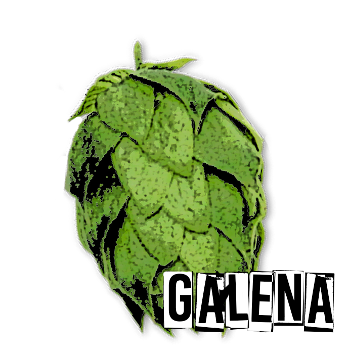 hops clipart hop cone