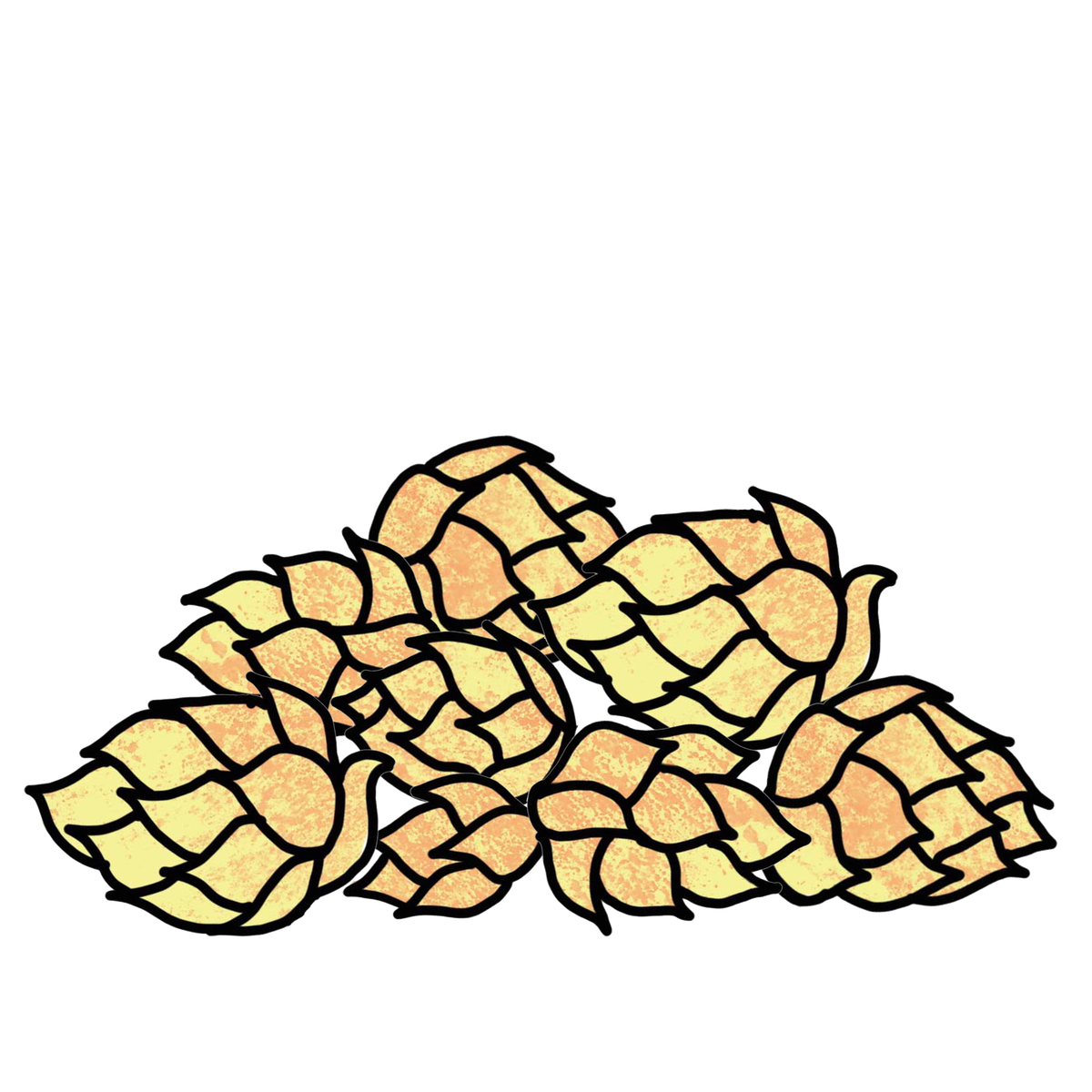 Bere brewery . Hops clipart hop flower