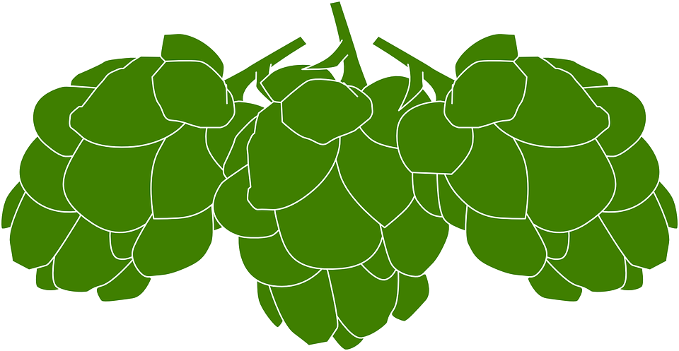 hops clipart svg