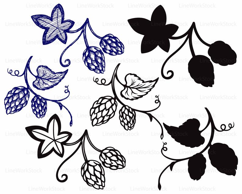 Beer plant silhouette cricut. Hops clipart svg