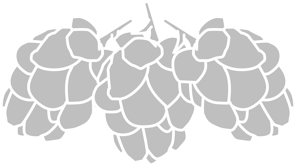 Hop png black and. Hops clipart wheat