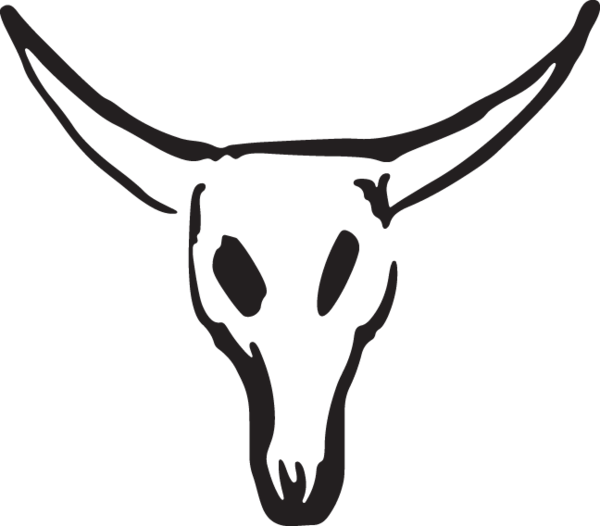 Horn cow skull