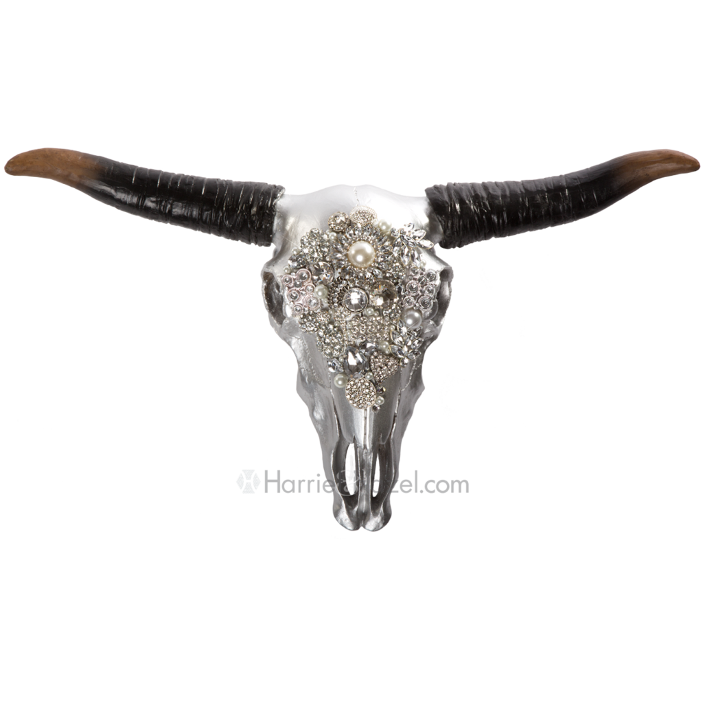 horn clipart longhorn skull