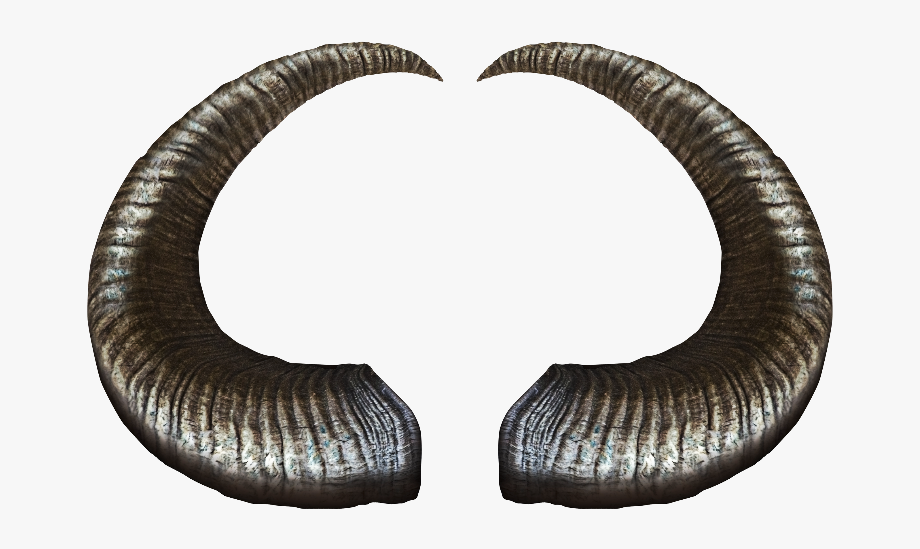horn clipart realistic