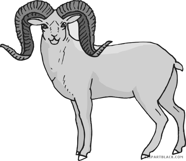 sheep clipart black and white