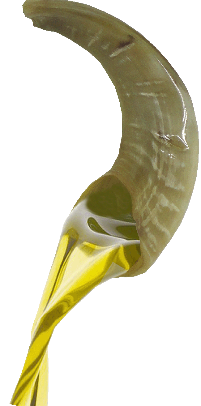 horn clipart shofar
