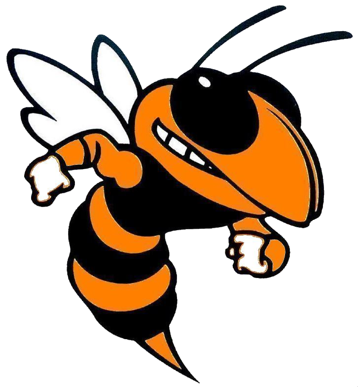 Hornet clipart advance. What to expect at