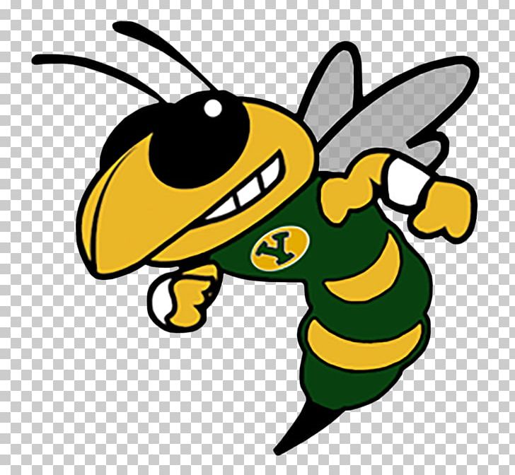 hornet clipart basketball