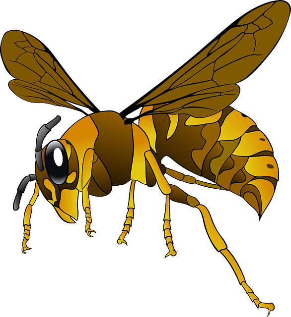 insects clipart wasp