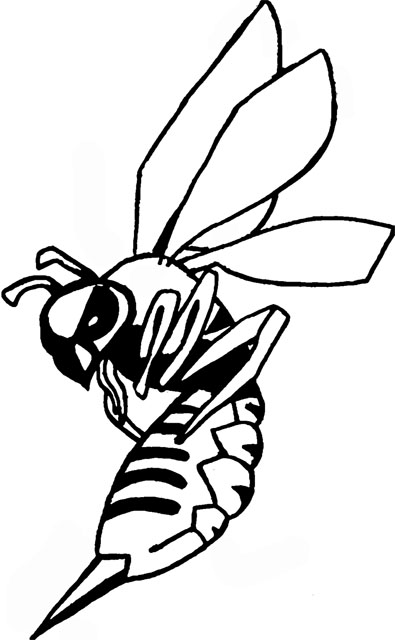 Hornet clipart drawing. Logo wikiclipart 