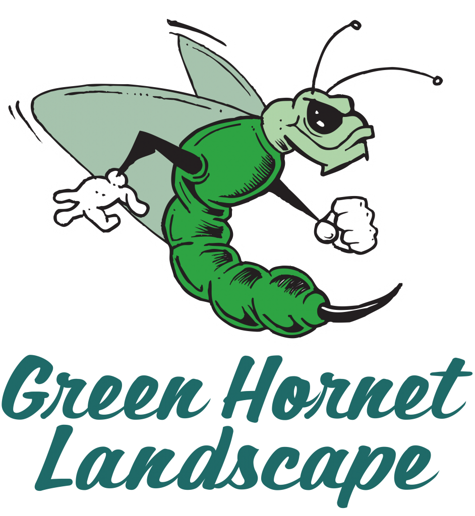 hornet clipart green hornet
