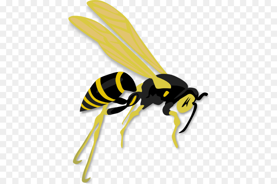 hornet clipart wasp sting