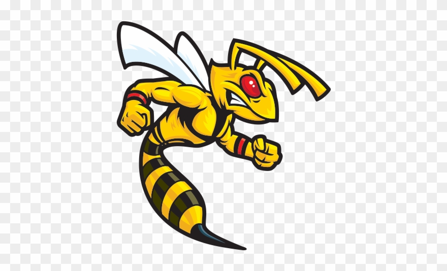 hornet clipart wasp sting
