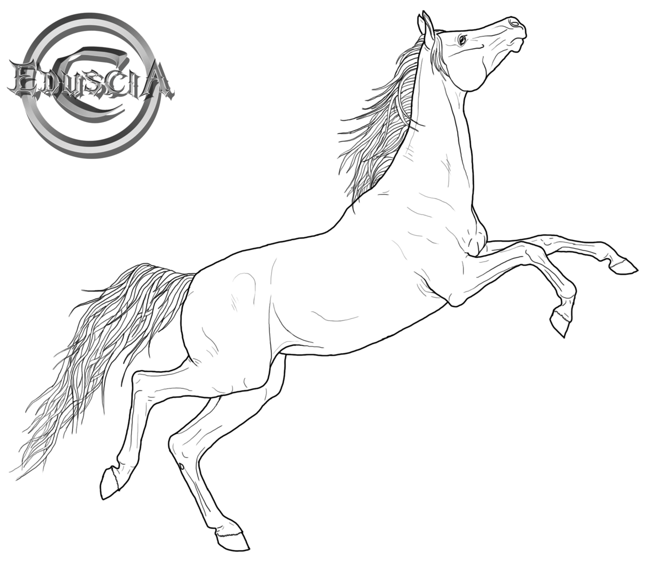 horse clipart arabian horse