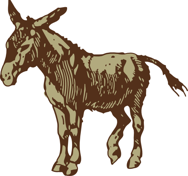 Mule donkey tail