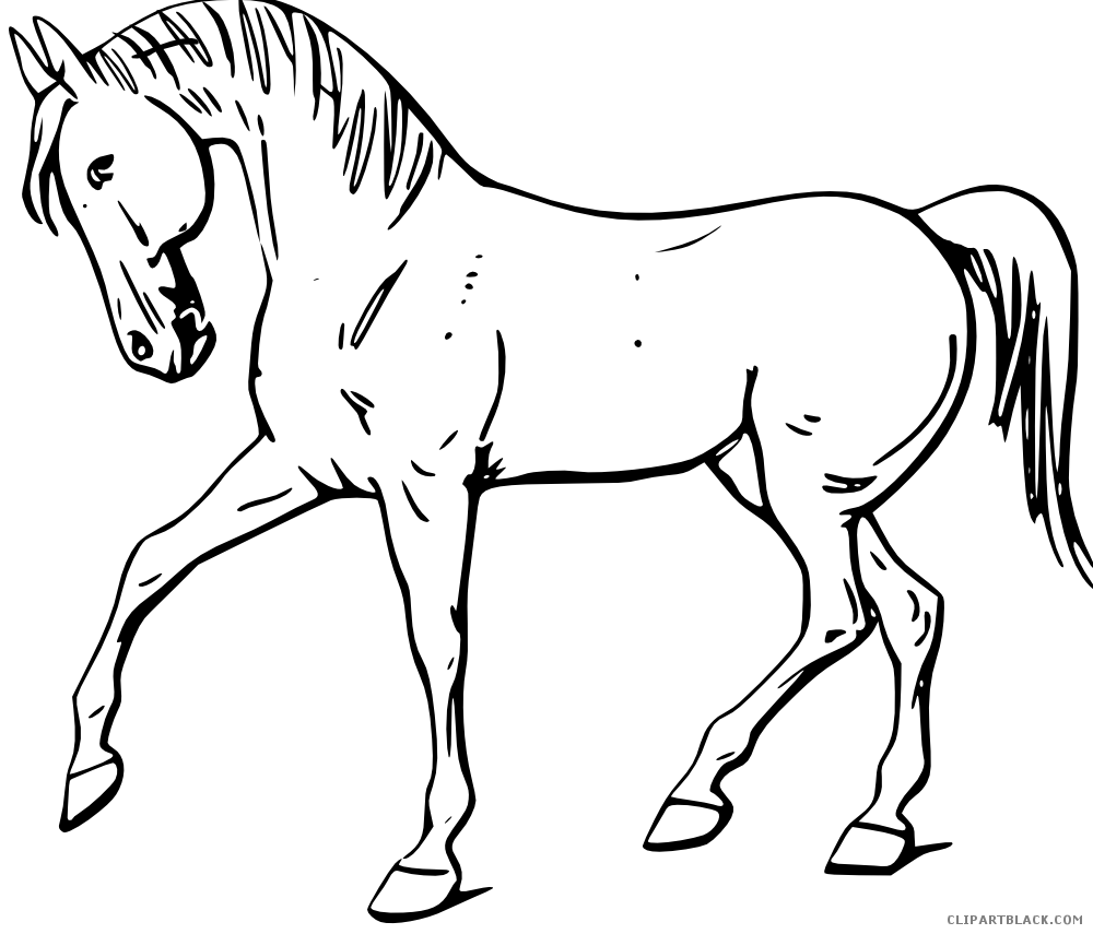 horse clipart cartoon