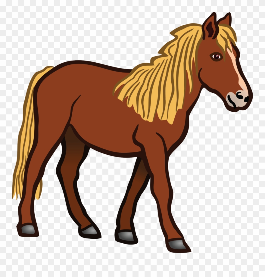 horse clipart equine