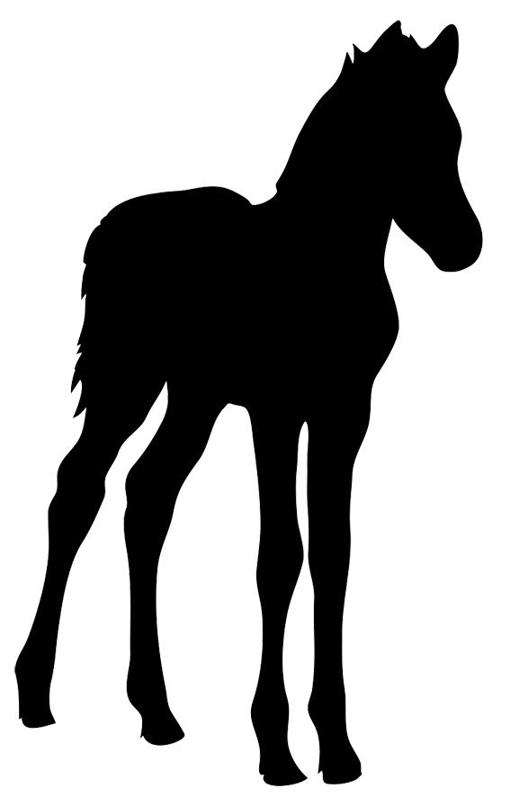horse clipart foal