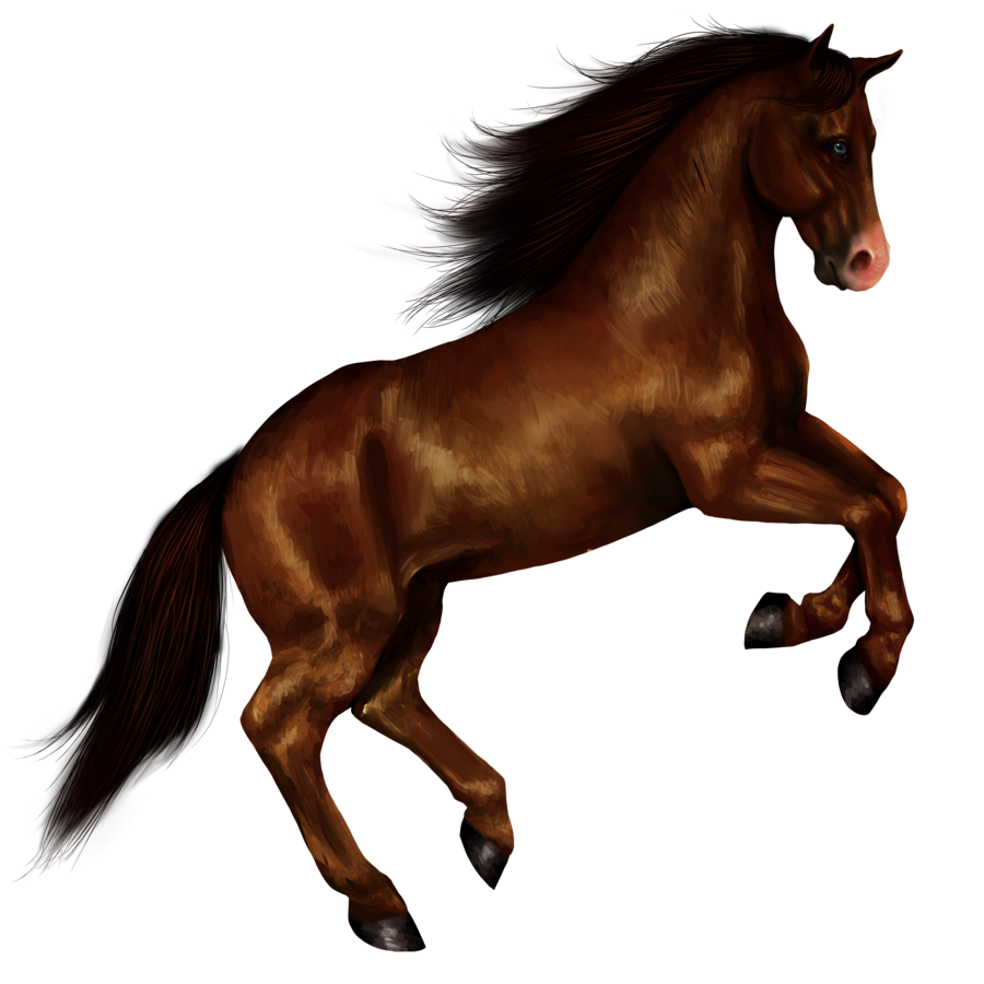 horse clipart mustang horse