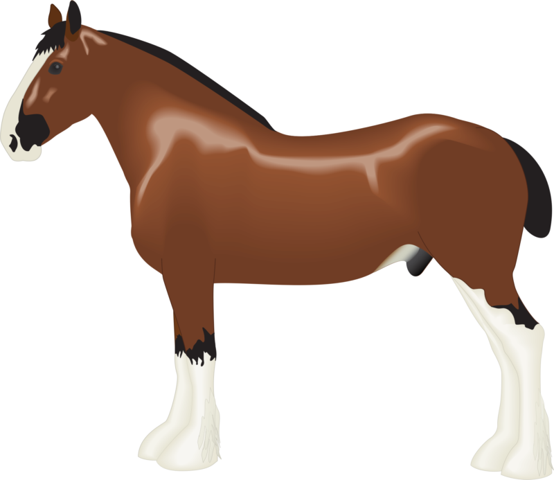 horse clipart spring
