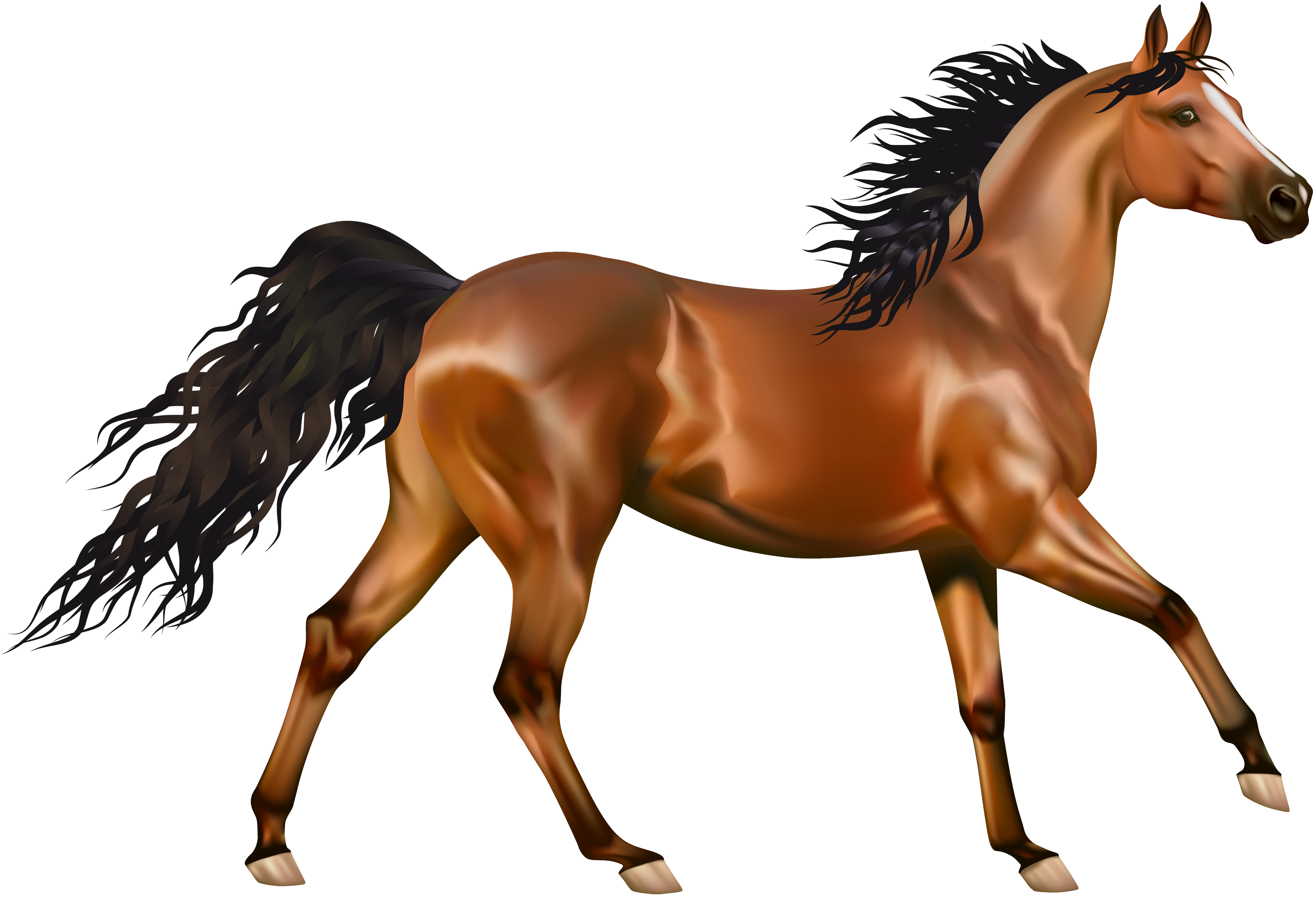 horse clipart thoroughbred horse