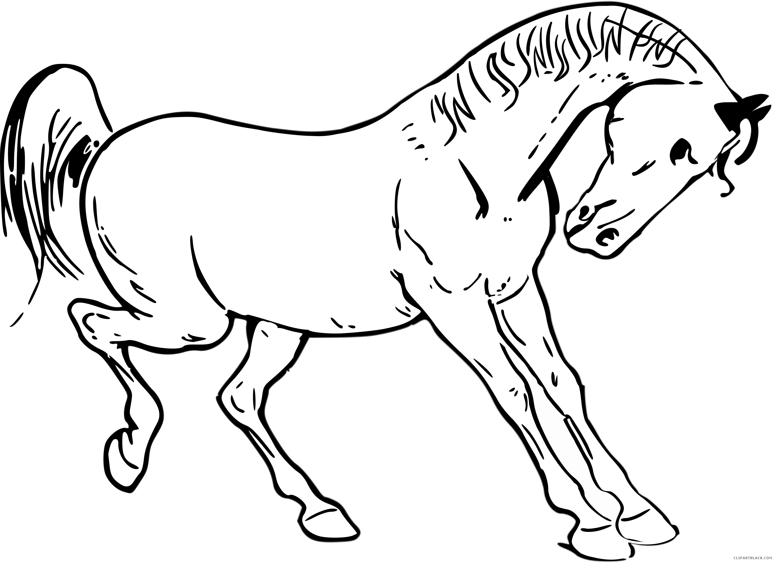 horses clipart black and white