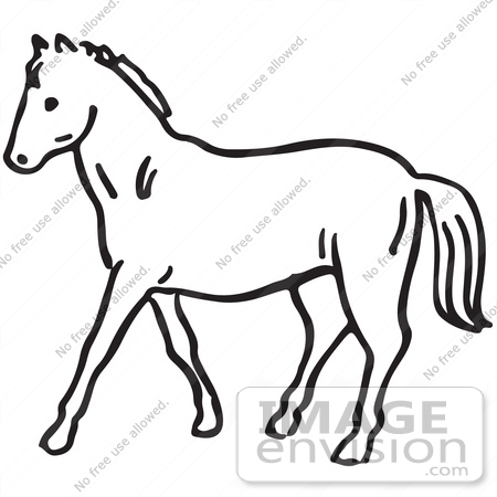 horses clipart line art