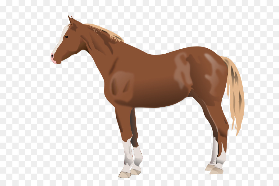 horses clipart mare