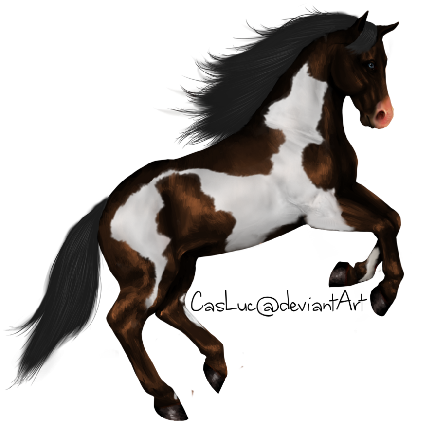 horses clipart monogram