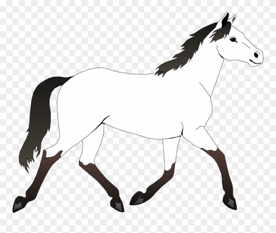 Pages horses free . Mustang clipart horse coloring