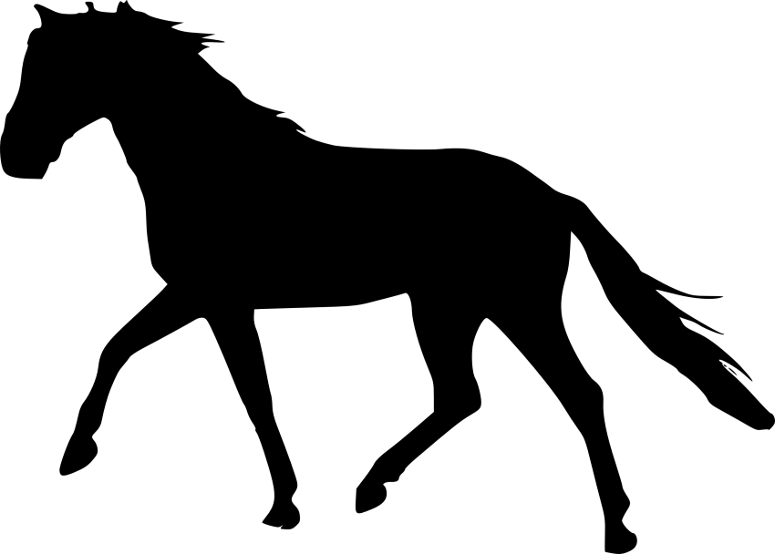 Horses clipart trophy, Picture #1364124 horses clipart trophy