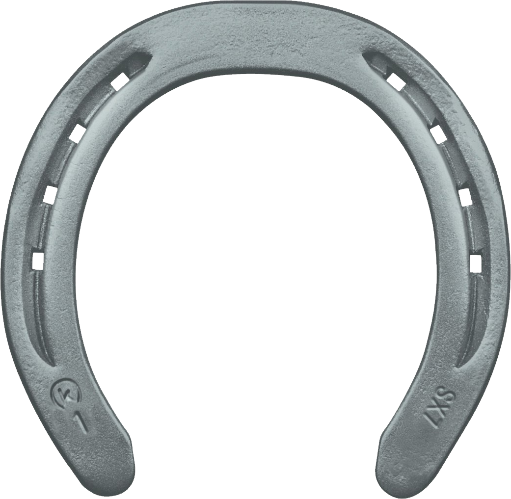 horseshoe clipart fancy