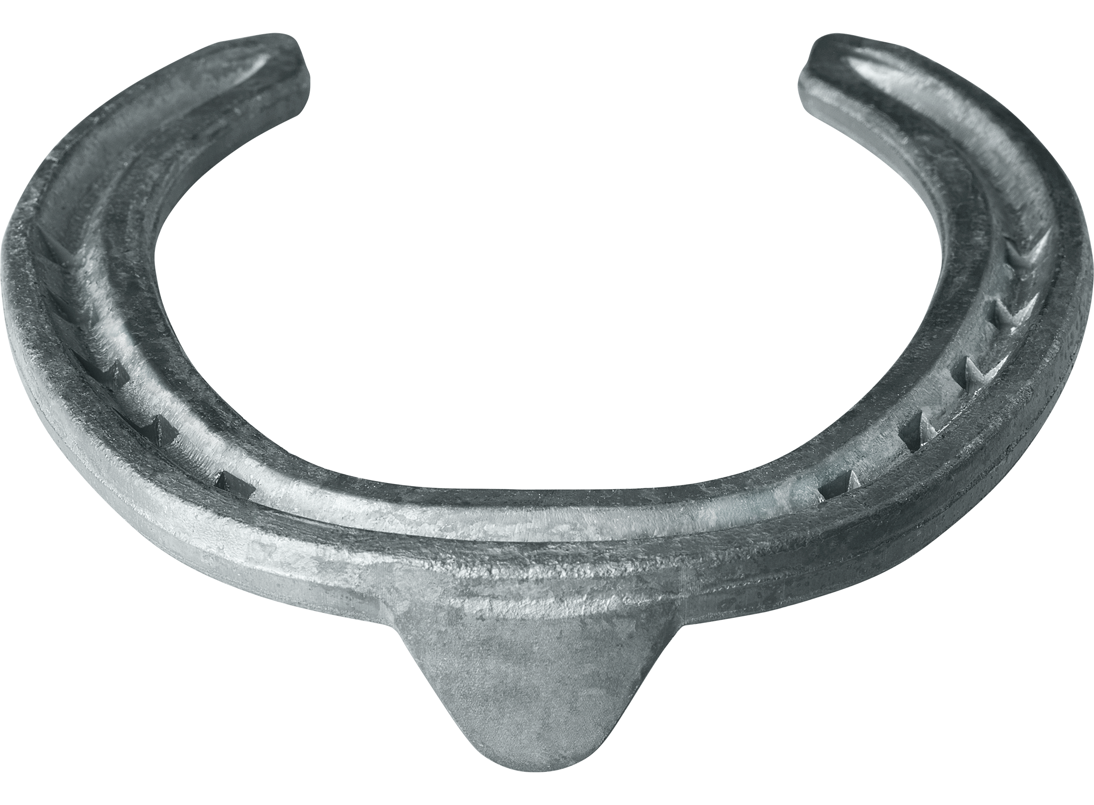 horseshoe clipart farrier