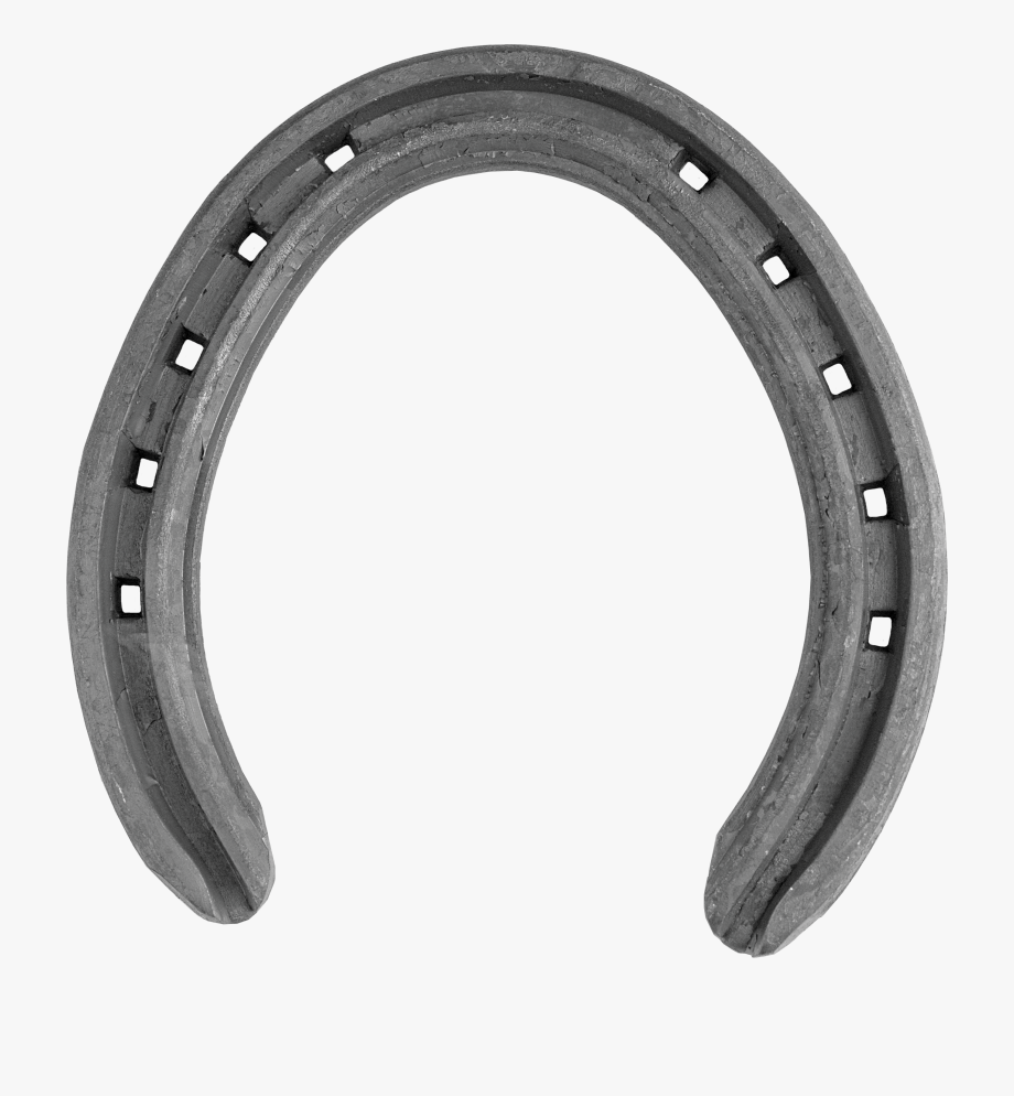 horseshoe clipart horse equipment