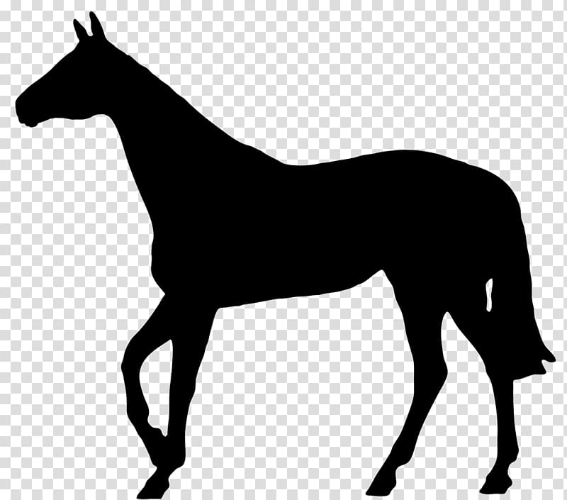 horseshoe clipart horsemanship