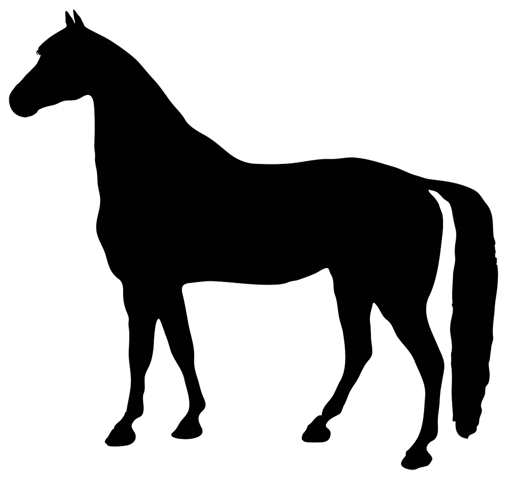 therapy clipart horse