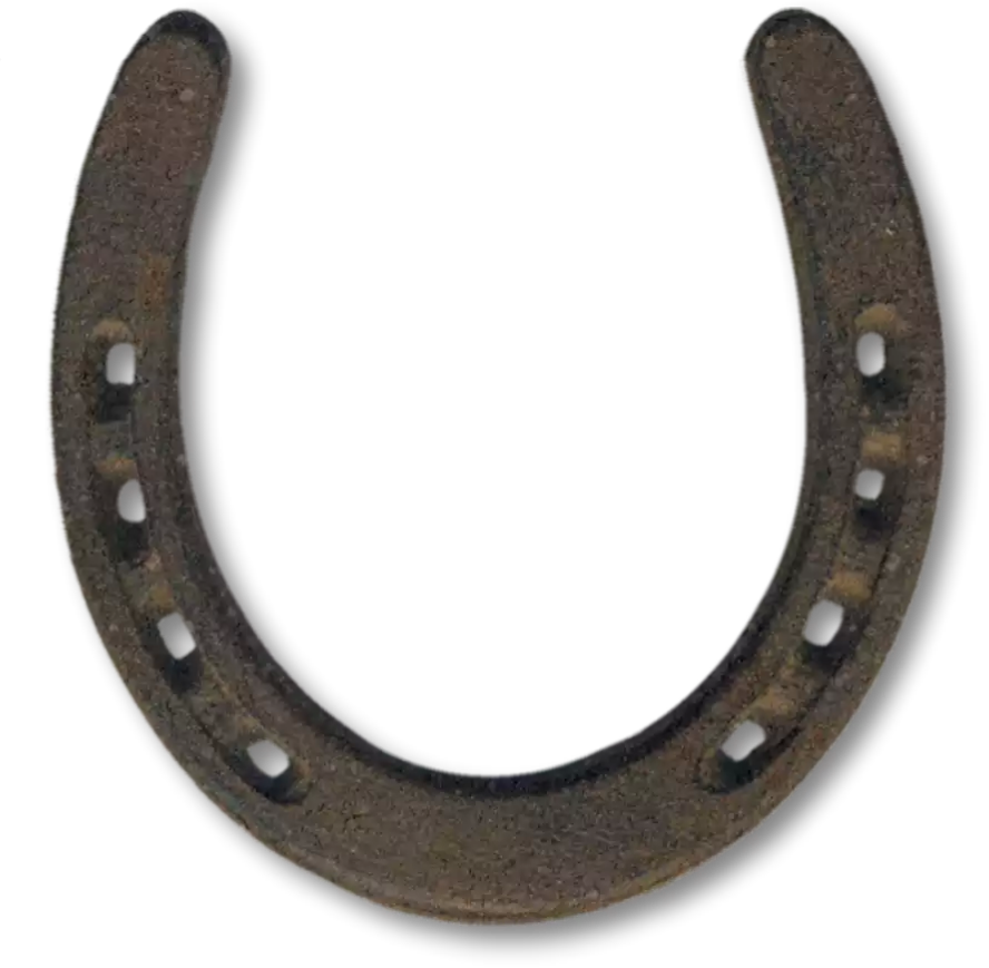 horseshoe clipart rustic horseshoe