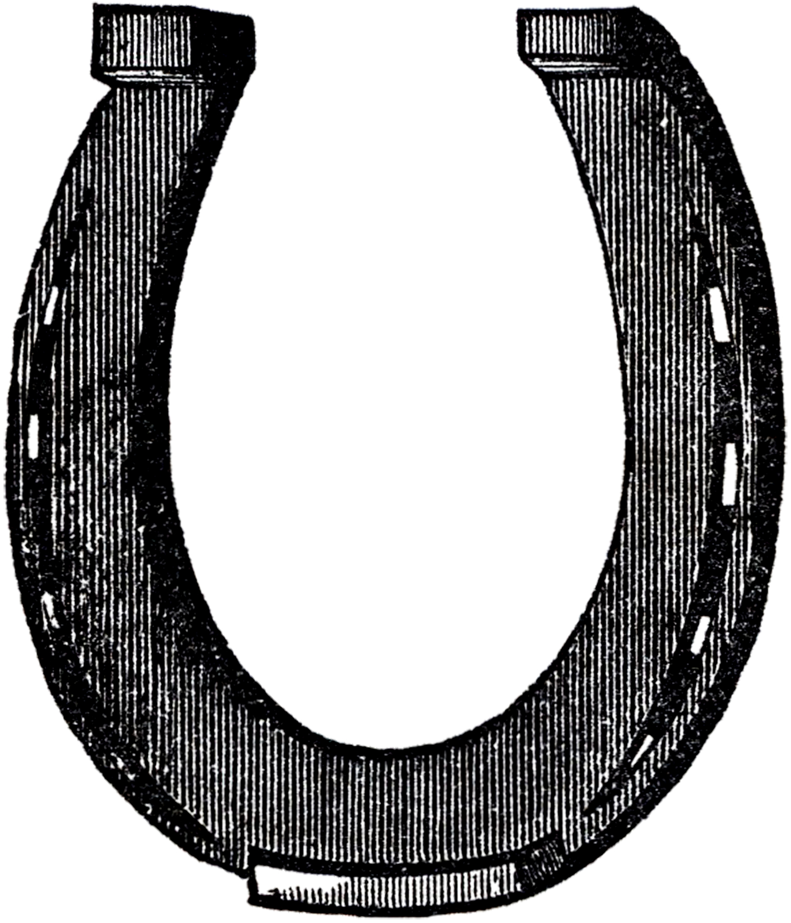 horseshoe clipart vintage