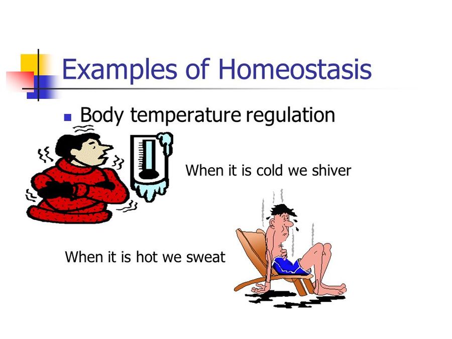 hot clipart homeostasis