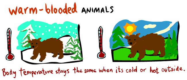 hot clipart warm blooded